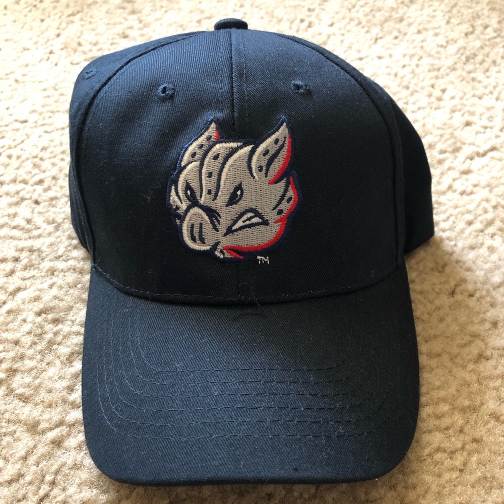BOGO ‼️ Lehigh Valley IronPigs Hat